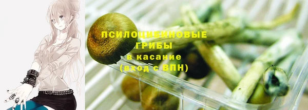 индика Анжеро-Судженск