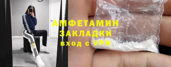 индика Анжеро-Судженск
