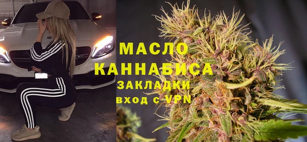 индика Анжеро-Судженск