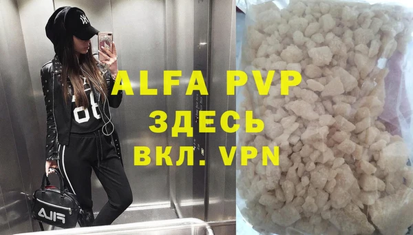 индика Анжеро-Судженск