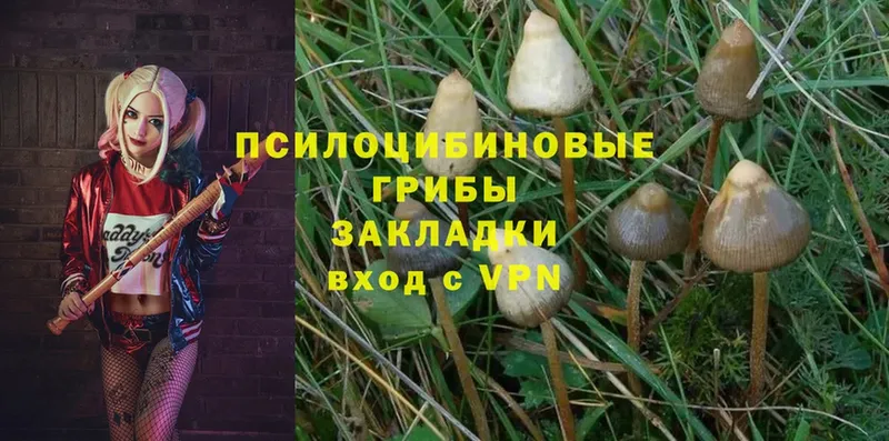 Галлюциногенные грибы MAGIC MUSHROOMS  Кемь 