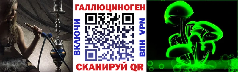 Галлюциногенные грибы Psilocybe Кемь